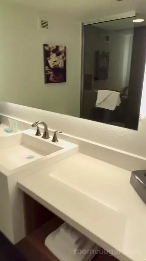 Deluxe Room (#1023) picture #18