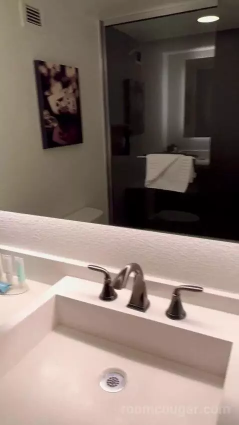 Deluxe Room (#1023) picture #23