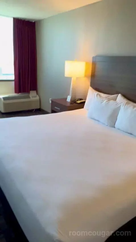 Deluxe Room (#1023) picture #7