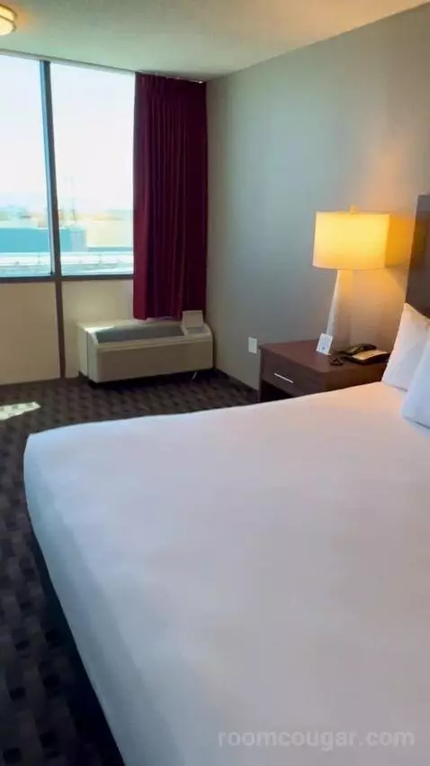 Deluxe Room (#1023) picture #8