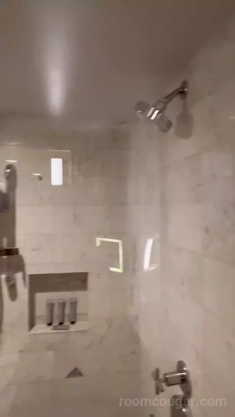 The D Suite (#1120) picture #23