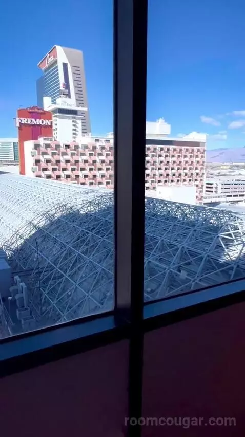 The D Suite (#1120) picture #6