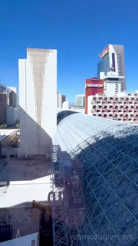 The D Suite (#1120) picture #7