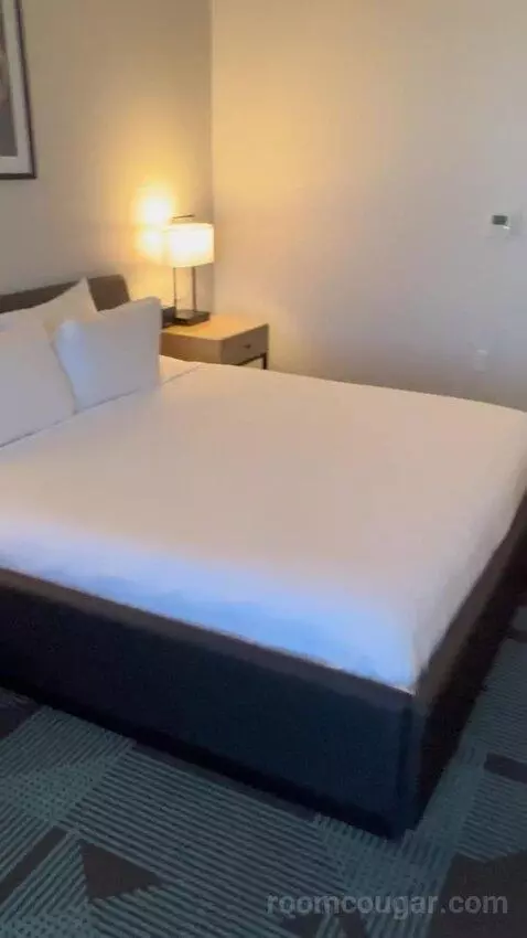 Gallery Studio King Bed (#3802) picture #15