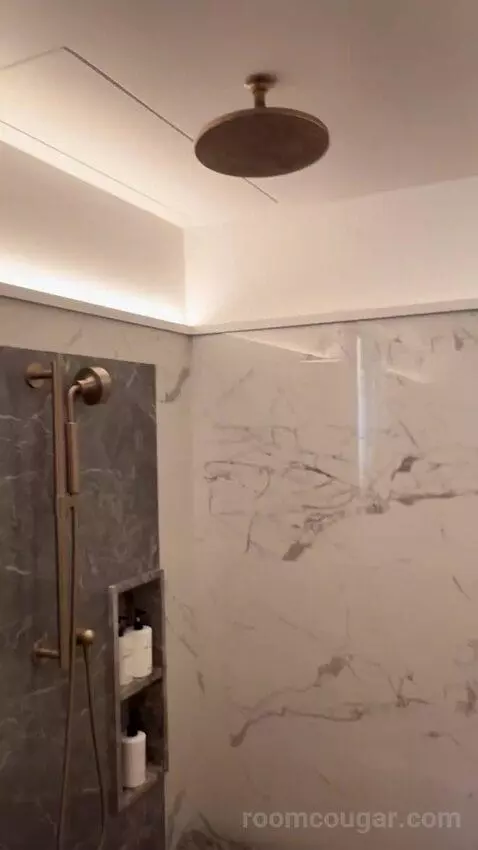 Premier King Room (#1002) picture #19