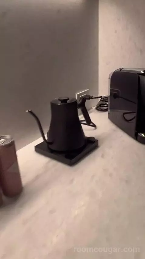 Executive King Suite (#1102) picture #4