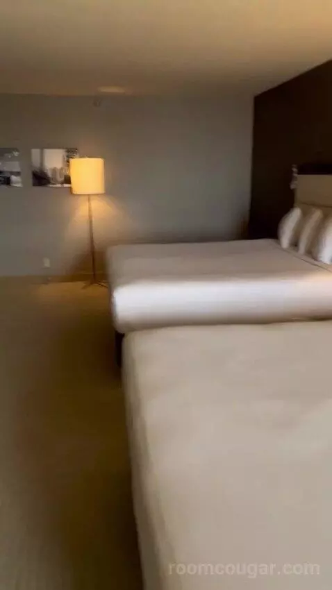 Derby Suite (#2254) picture #15