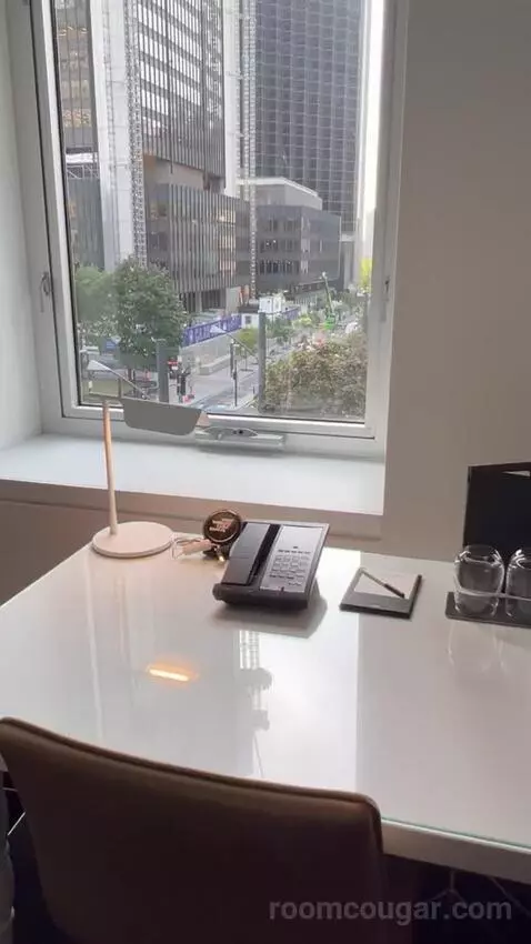 Fabulous, Guest Room, 1 King, Park View (#801) picture #8