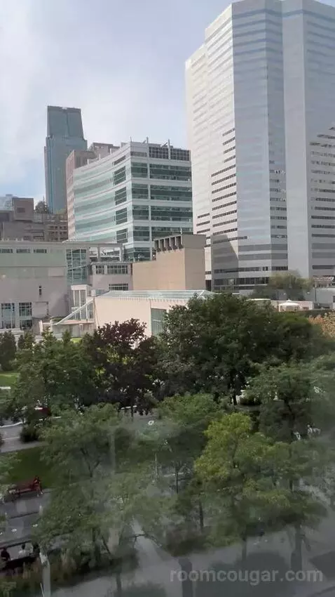 Fabulous, Guest Room, 1 King, Park View (#801) picture #9