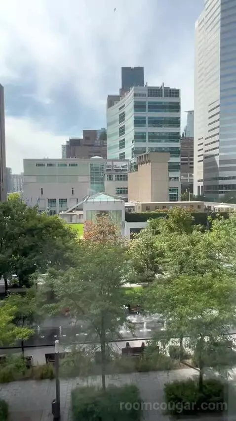 Spectacular, Guest Room, 1 King, Park View (#809) picture #22