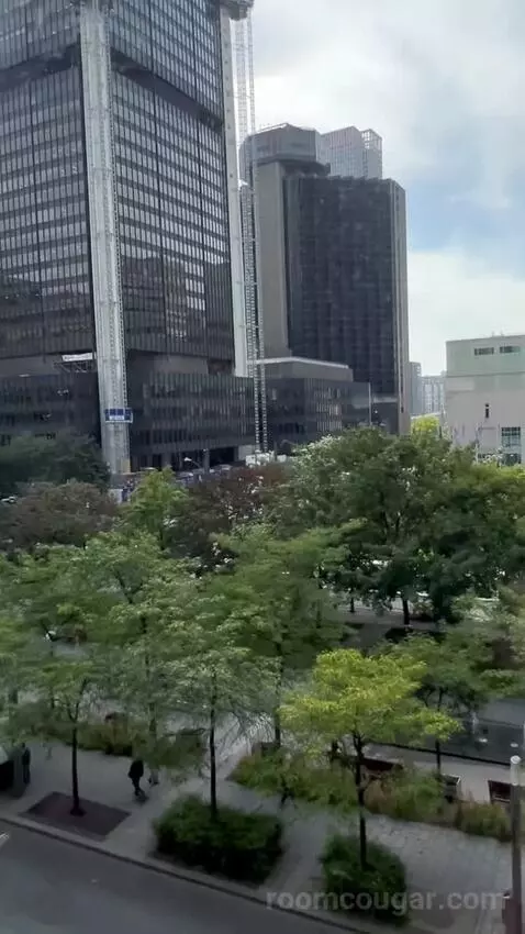 Spectacular, Guest Room, 1 King, Park View (#809) picture #23