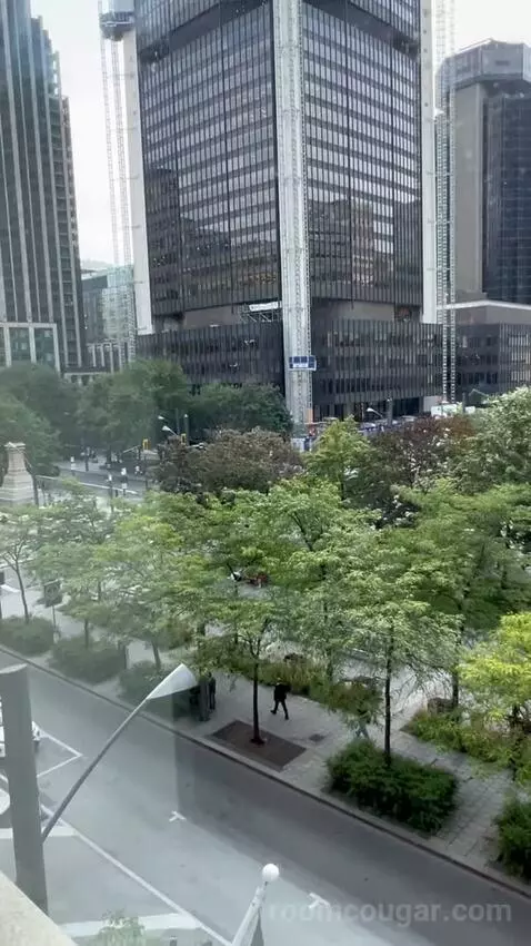 Spectacular, Guest Room, 1 King, Park View (#809) picture #24