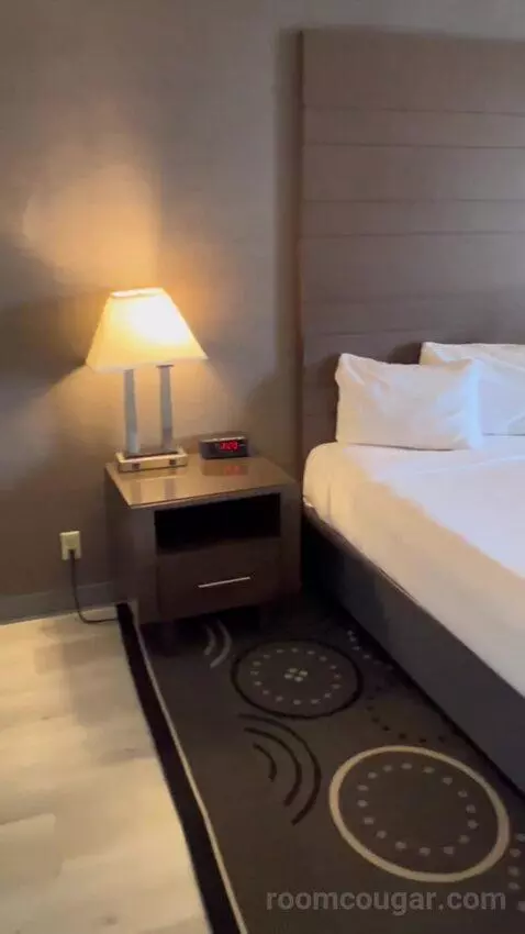 Junior Studio Room (#1714) picture #2