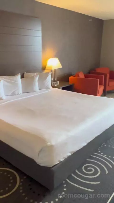 Junior Studio Room (#1714) picture #3