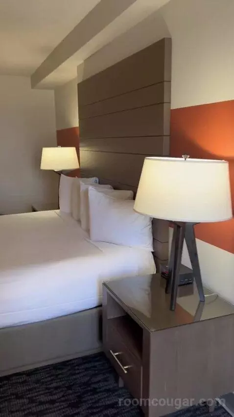 Luxe Suite (#1802) picture #16