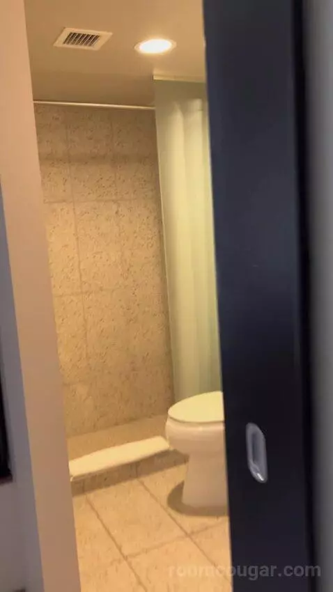 Luxe Suite (#1802) picture #21