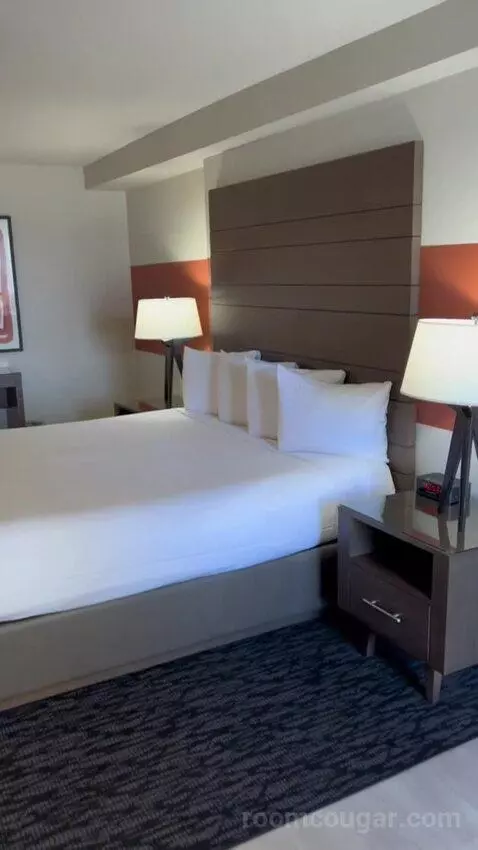 Luxe Suite (#1802) picture #24