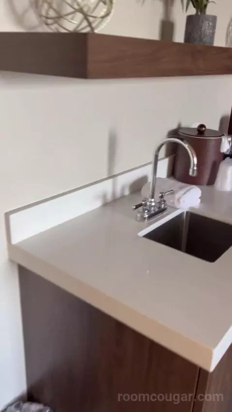 Luxe Suite (#1802) picture #4