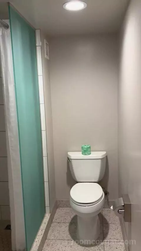 Luxe Suite (#1802) picture #7