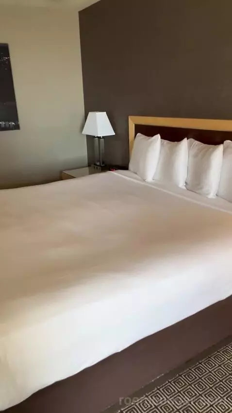 Plaza Hotel & Casino Vegas Suite review by proliv