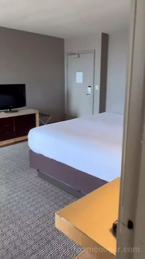 Vegas Suite (#1922) picture #12