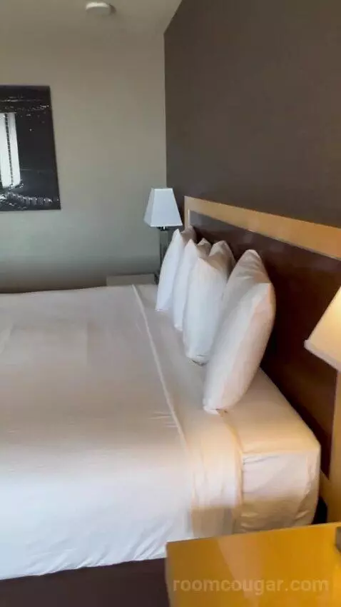 Vegas Suite (#1922) picture #13