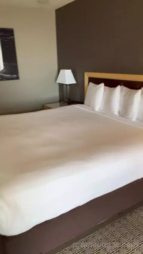 Vegas Suite (#1922) picture #14