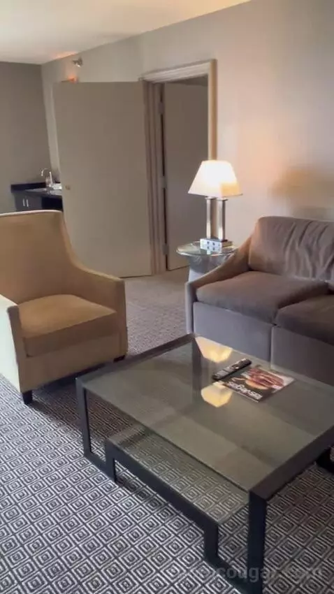 Vegas Suite (#1922) picture #3