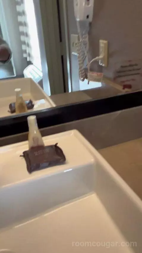 Vegas Suite (#1922) picture #23