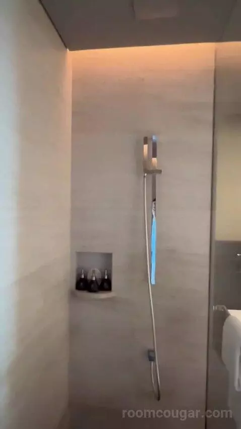 Harmony Master Suite - Oceanfront picture #24