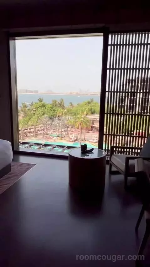 Three-Bedroom Presidential Suite picture #11