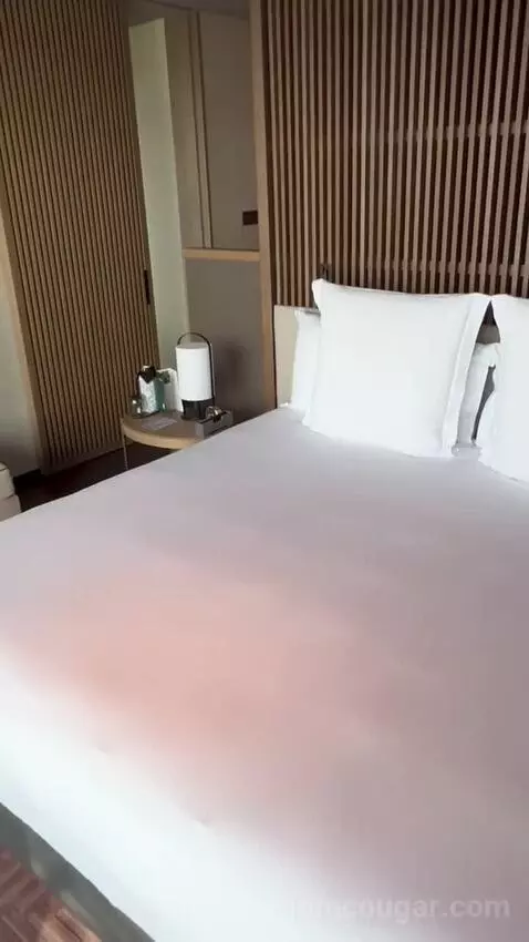 Three-Bedroom Presidential Suite picture #14