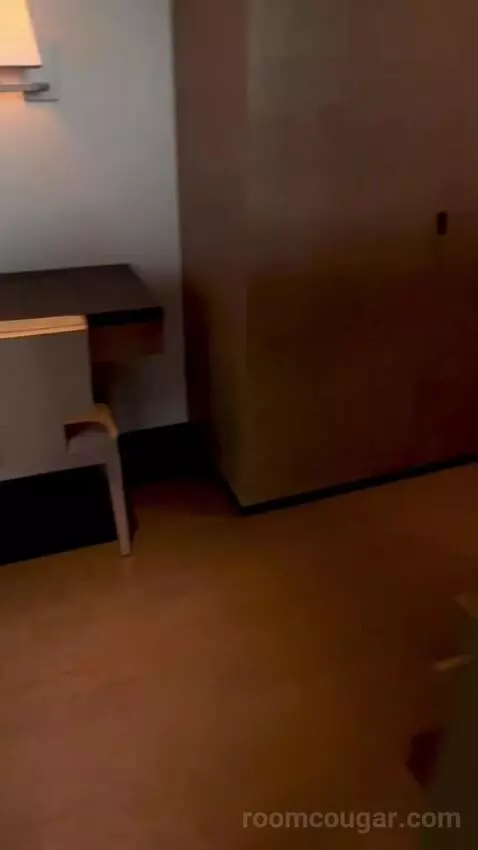 Three-Bedroom Presidential Suite picture #16