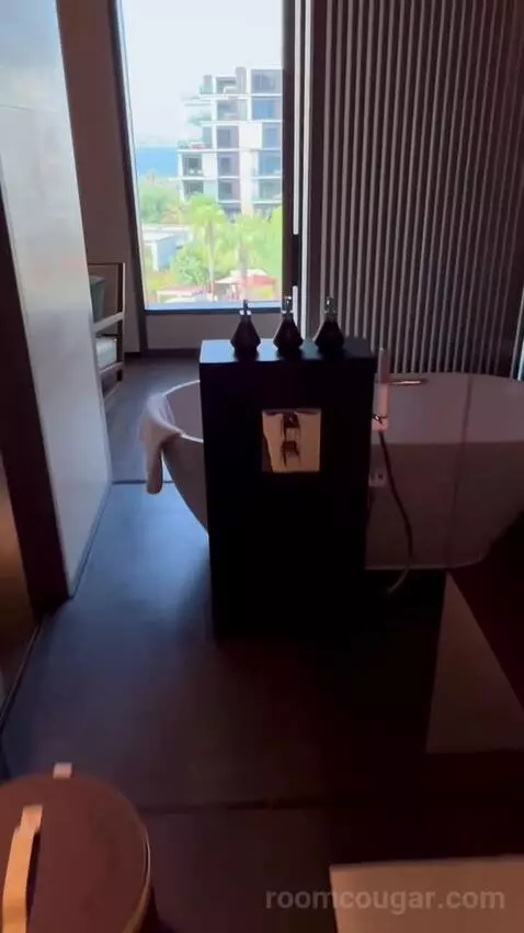 Three-Bedroom Presidential Suite picture #4