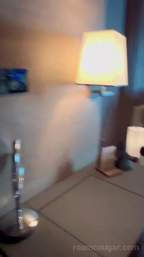 Three-Bedroom Presidential Suite picture #6