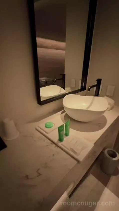 Suite Rodeo Drive (#619) picture #12