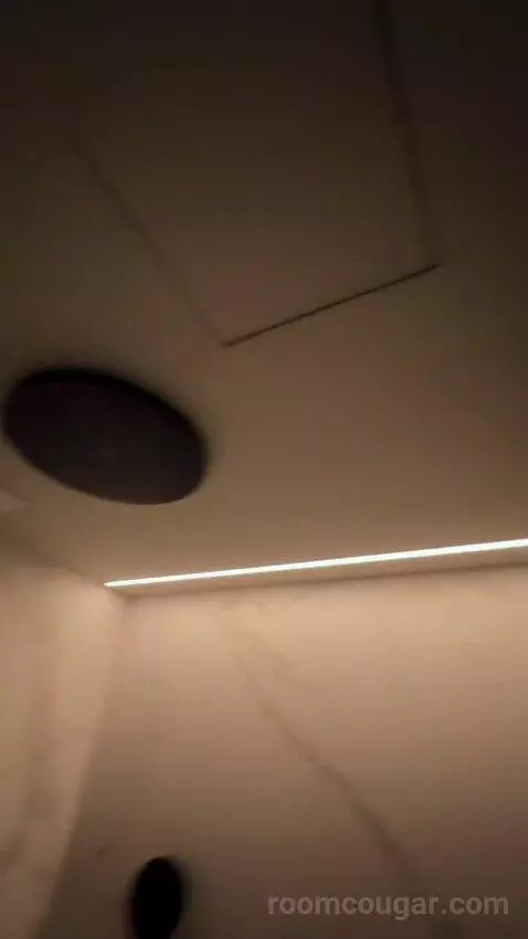 Suite Rodeo Drive (#619) picture #17