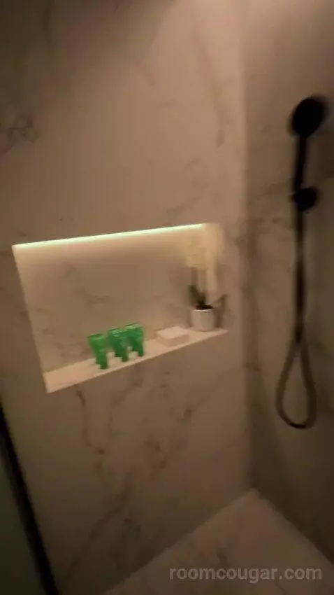 Suite Rodeo Drive (#619) picture #18