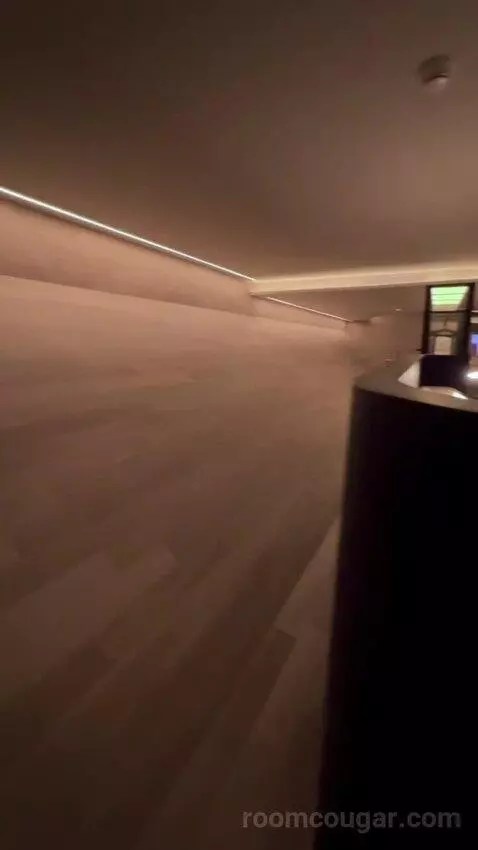 Suite Rodeo Drive (#619) picture #23