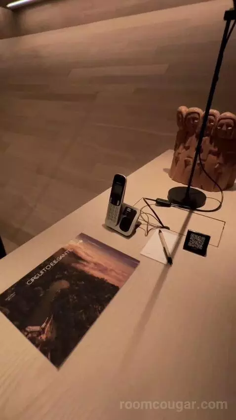 Suite Rodeo Drive (#619) picture #6