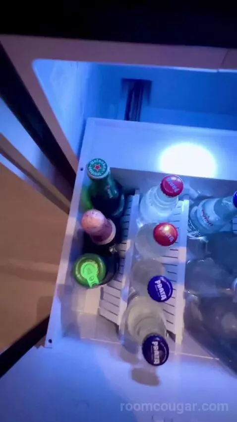 Suite Rodeo Drive (#619) picture #9