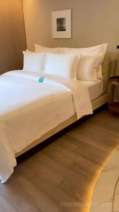 Premium Double Room (#311) picture #1