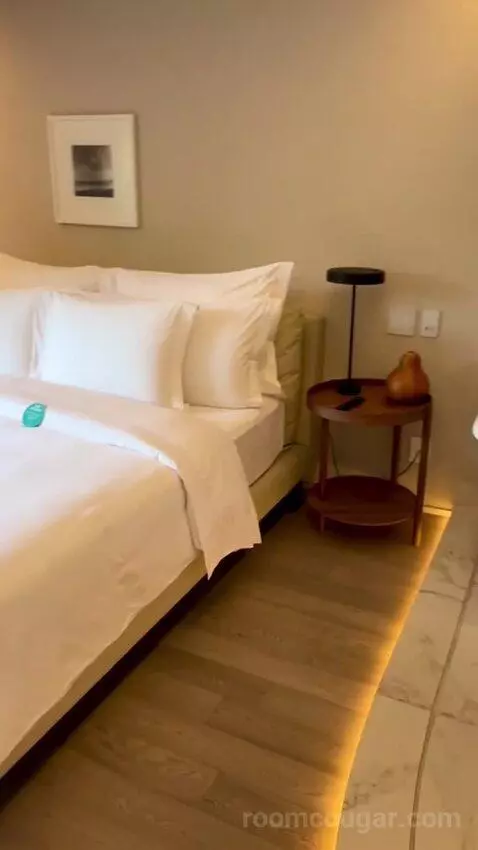 Premium Double Room (#311) picture #2