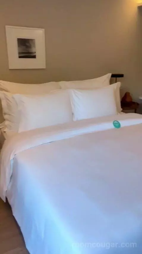 Premium Double Room (#311) picture #16