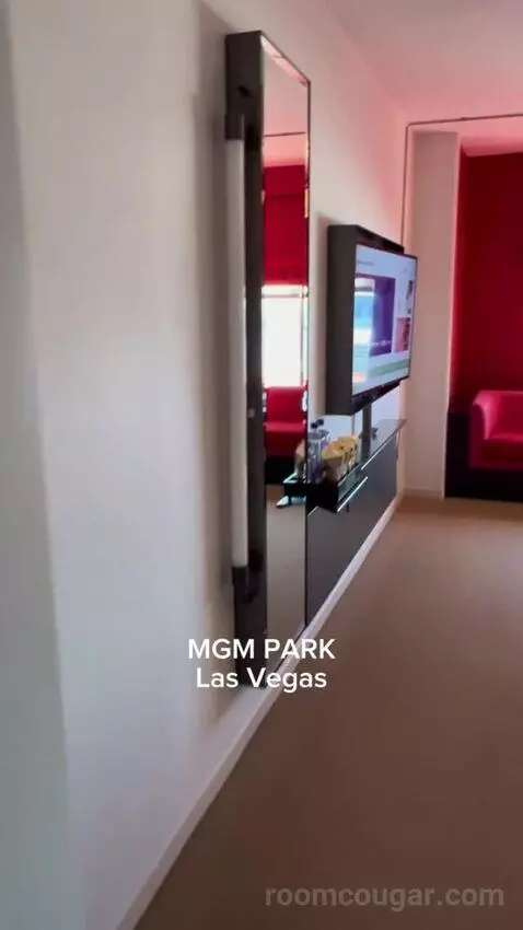 Park Mgm King Strip View (#22112) picture #2