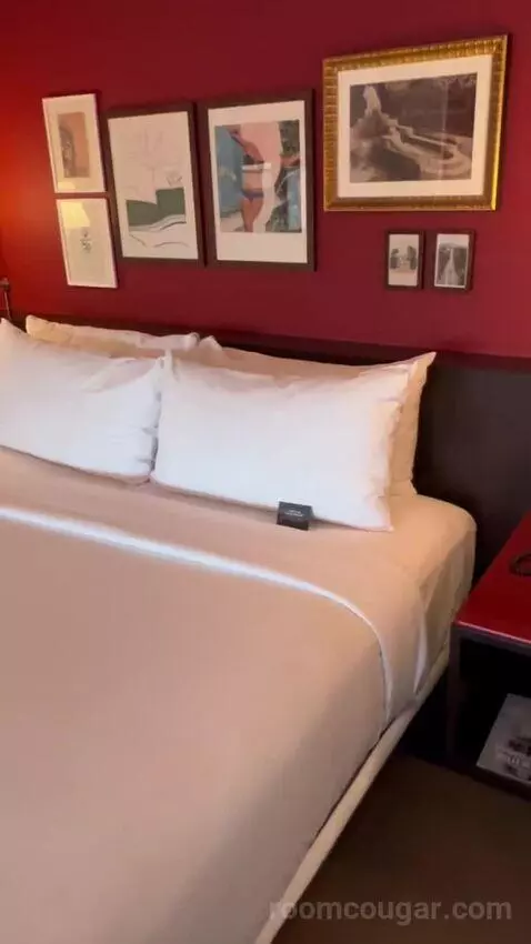 Park Mgm King Strip View (#22112) picture #16