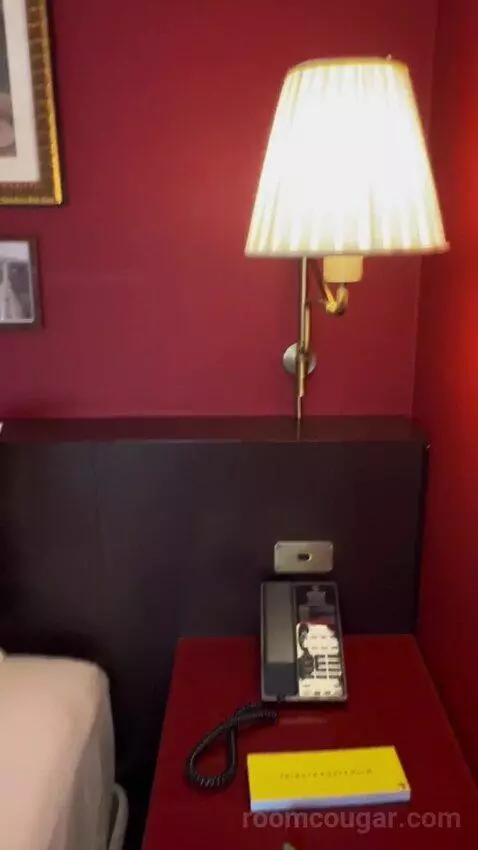 Park Mgm King Strip View (#22112) picture #18