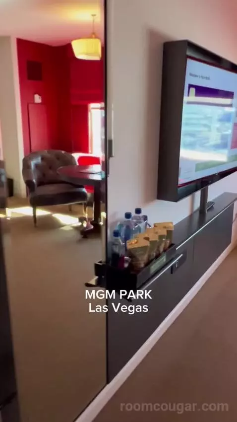 Park Mgm King Strip View (#22112) picture #3