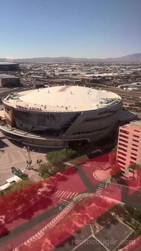 Park Mgm King Strip View (#22112) picture #9