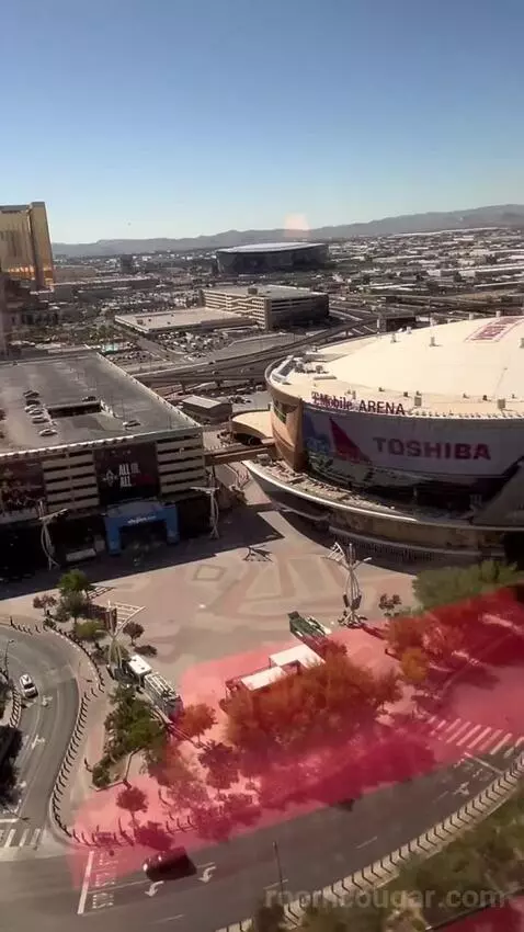 Park Mgm King Strip View (#22112) picture #10